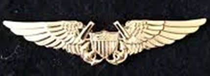 Naval Flight Officer Insignia
