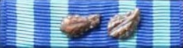Air Force Longevity Service Award with 2 Oak Leaf Clusters