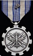 Air Force Achievement Medal with Silver Oak Leaf Cluster (6 Oak Leaf Clusters)